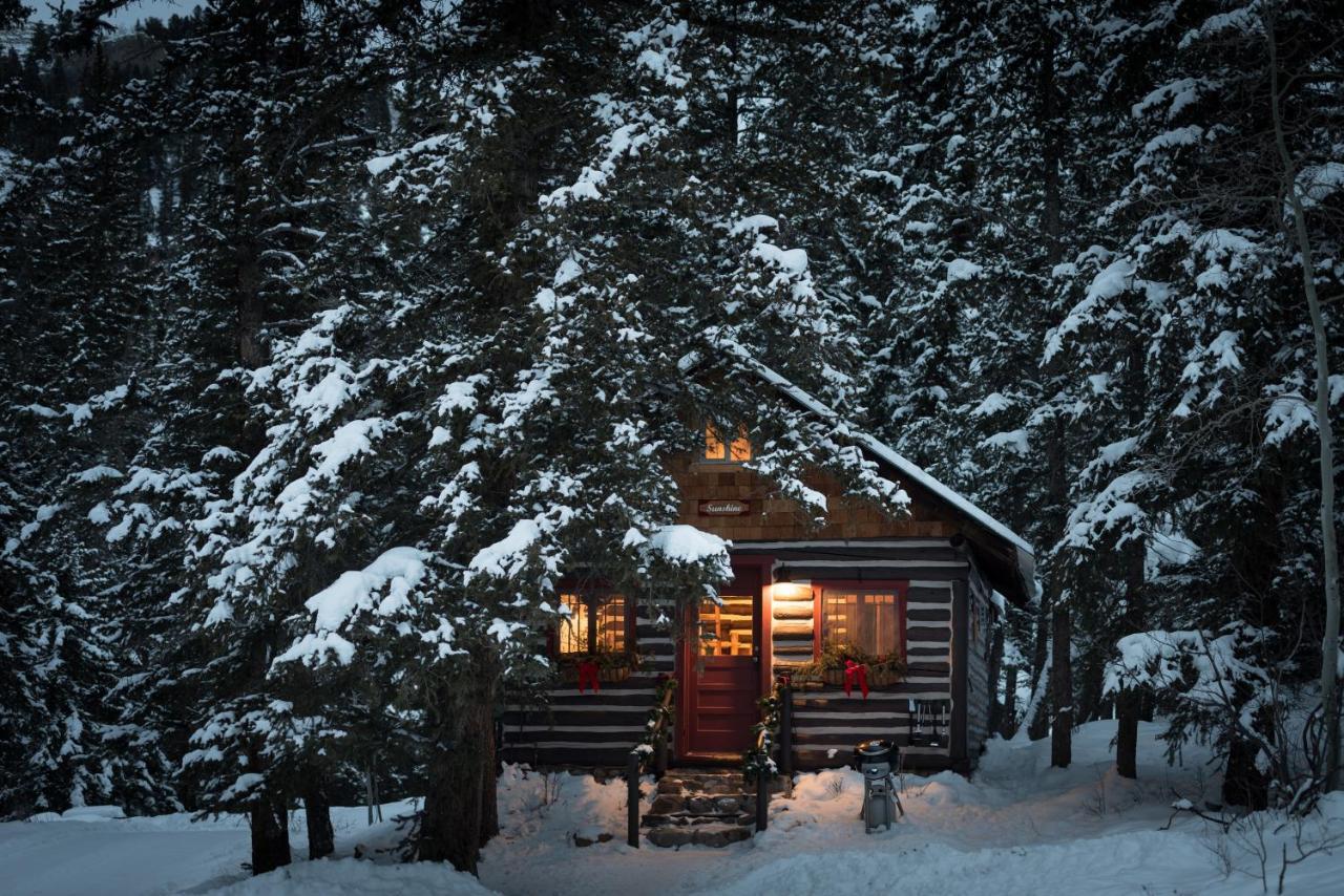 Pioneer Guest Cabins Crested Butte Exterior foto